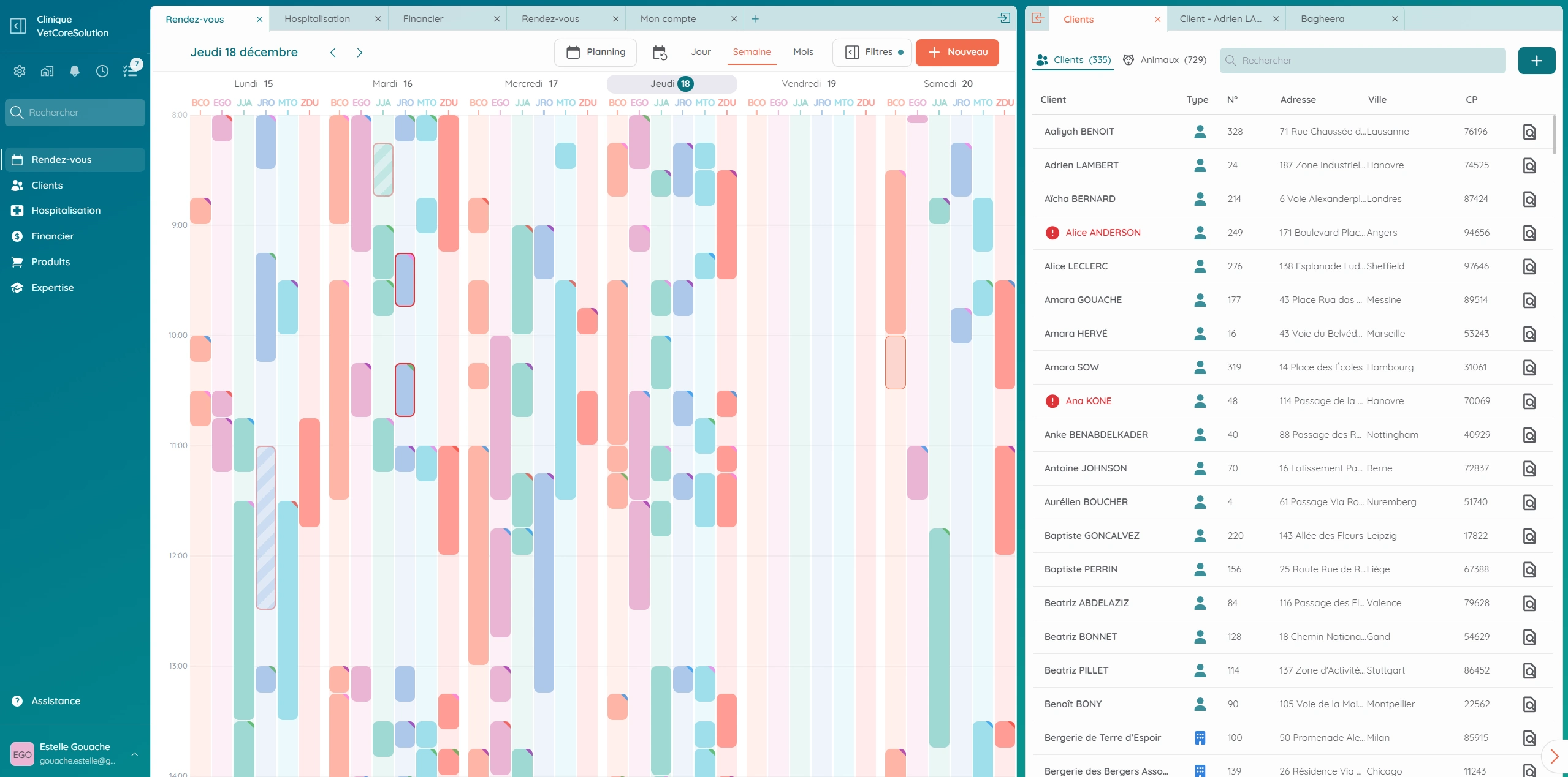 Capture de l’interface VetCoreSolution affichant l’agenda et la liste des clients.